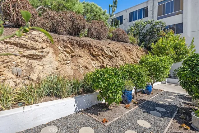 a view of a garden with plants