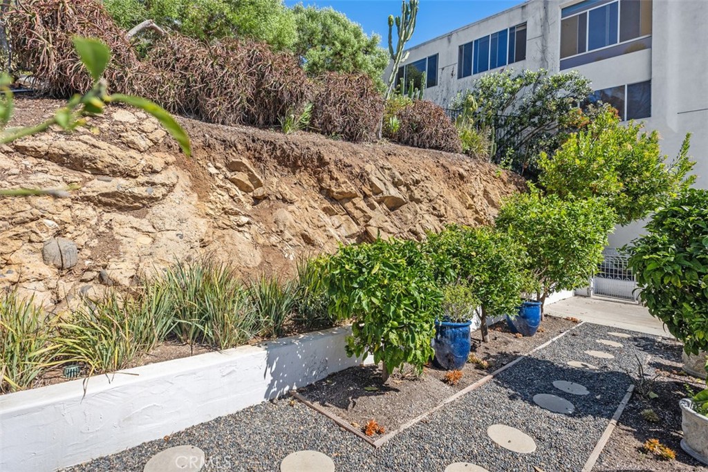 2142 Ruby Place Laguna Beach, CA 92651 - Photo 28 of 34 a view of a garden with plants