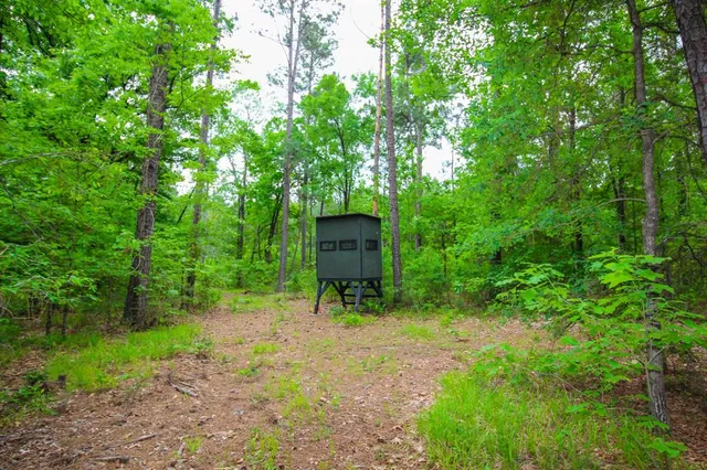 $2,150,000 | 0 East Fm 1794, Beckville, TX 75631