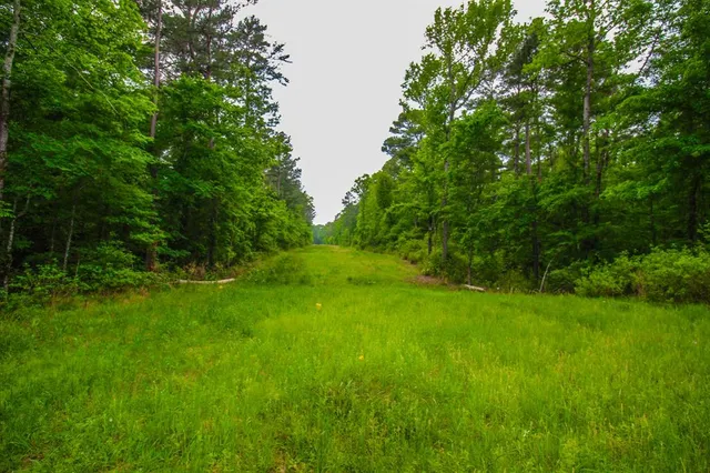 $2,150,000 | 0 East Fm 1794, Beckville, TX 75631