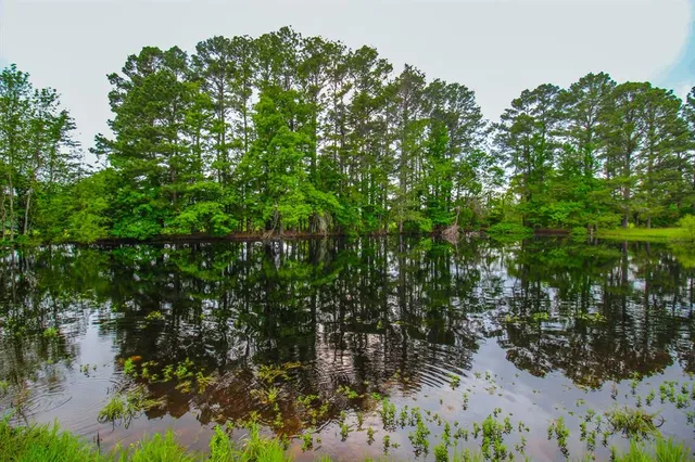 $2,150,000 | 0 East Fm 1794, Beckville, TX 75631