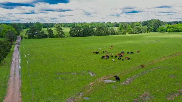 $2,150,000 | 0 East Fm 1794, Beckville, TX 75631