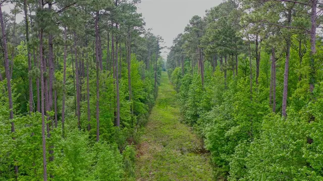 $2,150,000 | 0 East Fm 1794, Beckville, TX 75631