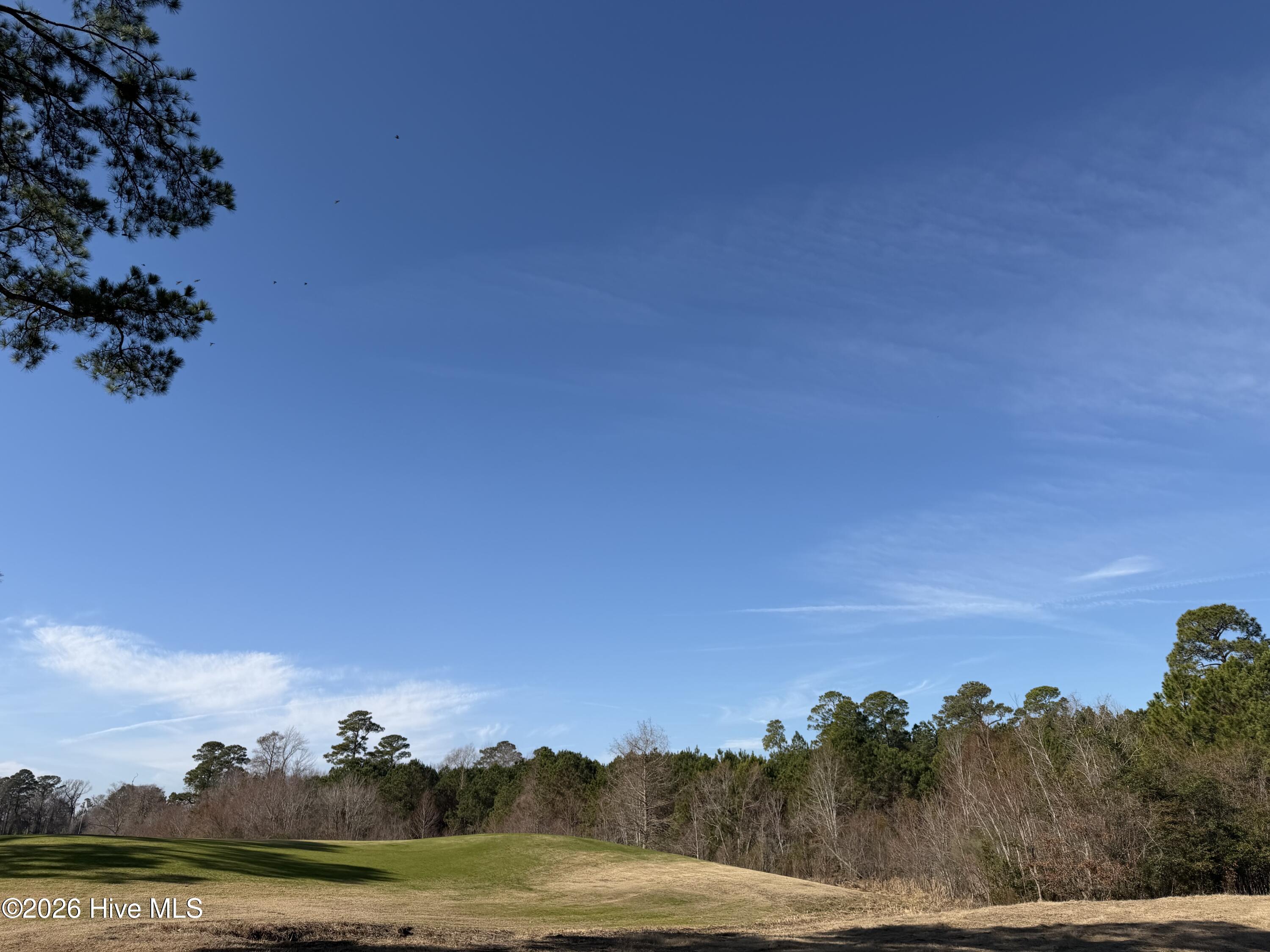 629 Kings Trail Sunset Beach, NC 28468 - Photo 34 of 34 IMG_2151