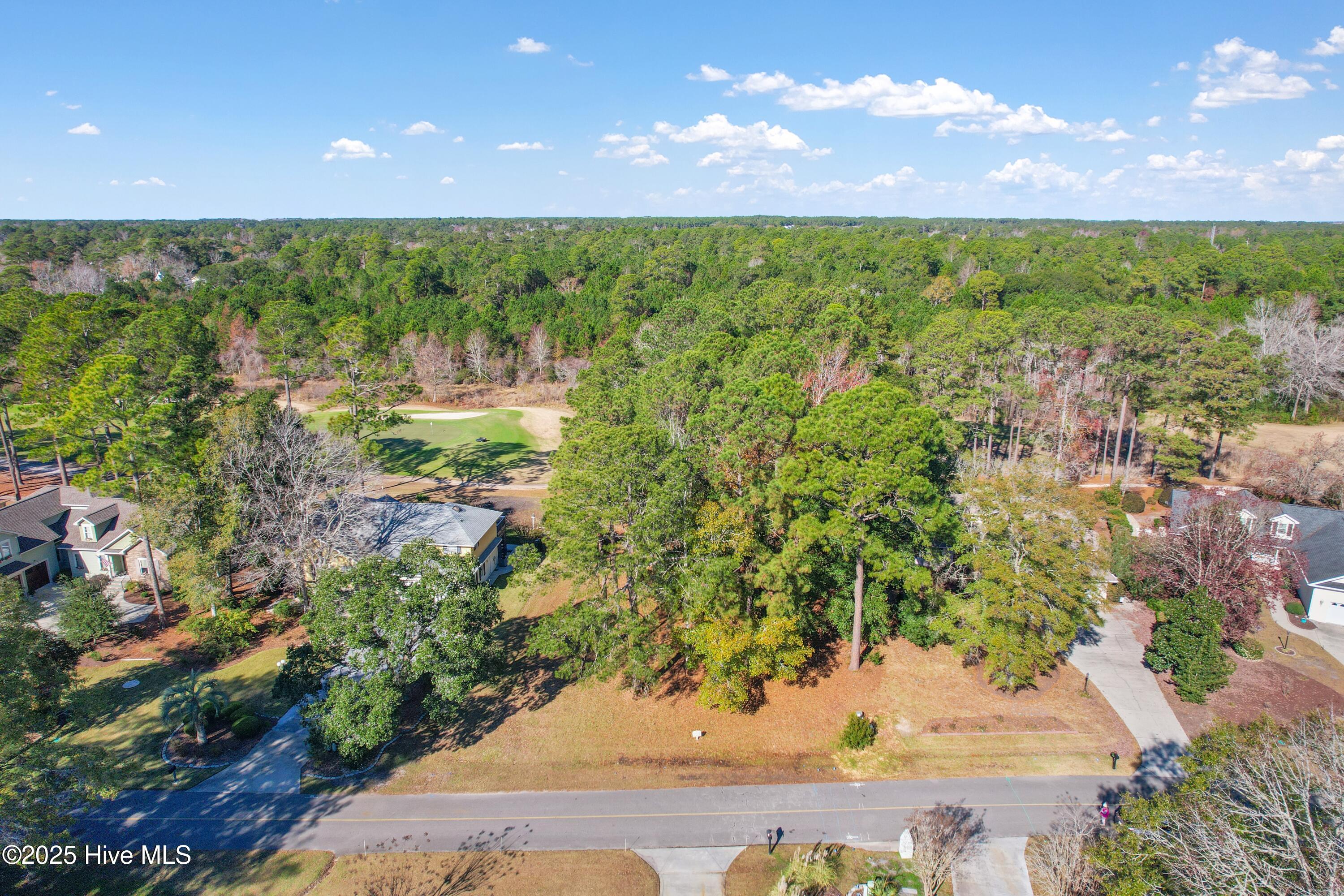 629 Kings Trail Sunset Beach, NC 28468 - Photo 10 of 34 629KingsTrailDr - 3 (1)