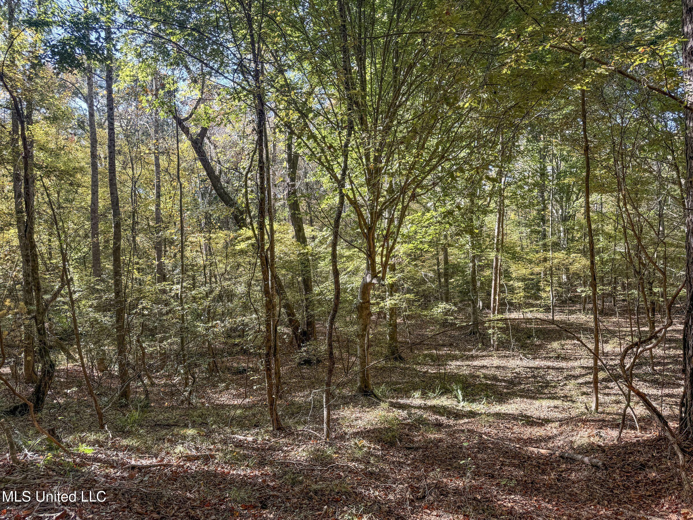 212 Old Water Valley Road Water Valley, MS 38965 - Photo 54 of 62 4dh38tc14