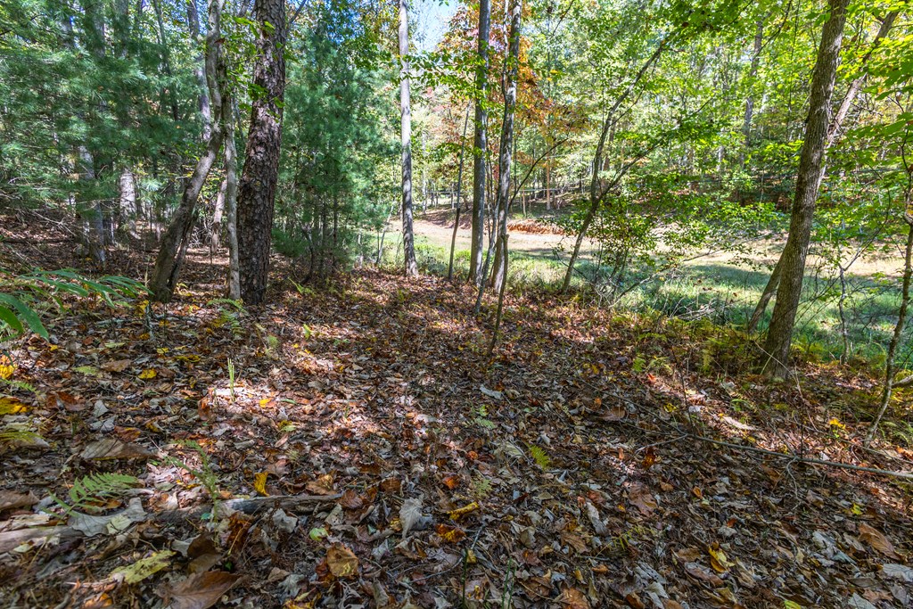 369 Simpson Mountain Road Murphy, NC 28906 - Photo 54 of 62