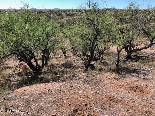 357 Via Papagayo, Unit 32 Rio Rico, AZ 85648 - Photo 4 of 4 Gallery Image 4