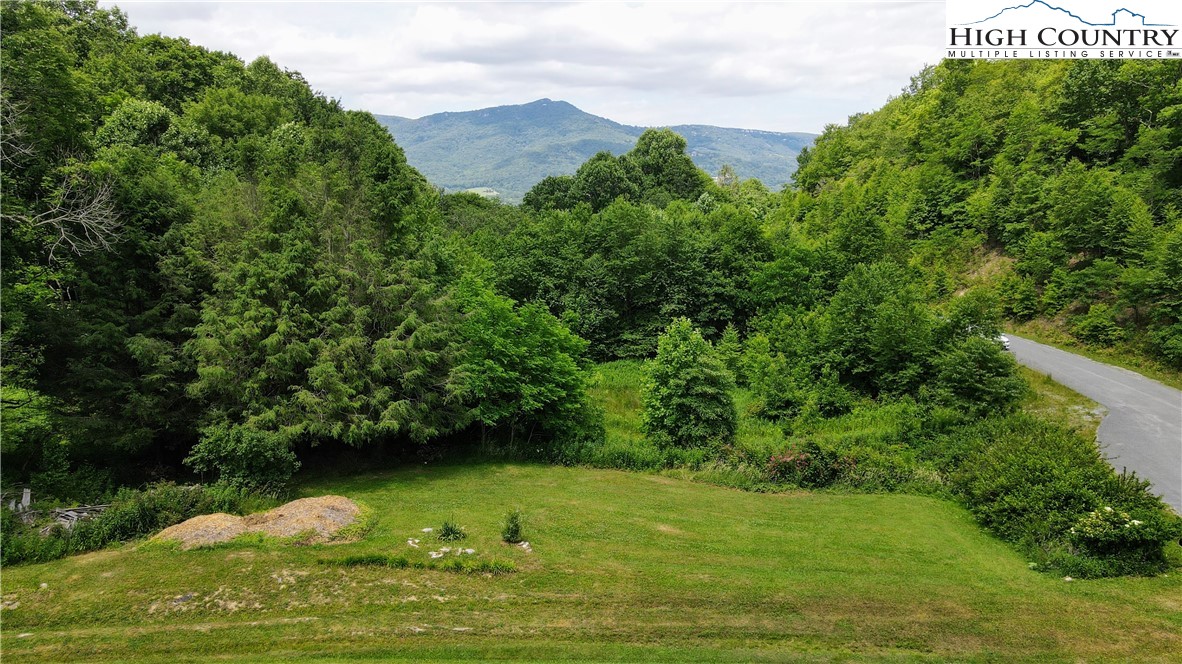 1030 Parallel Road Banner Elk, NC 28604 - Photo 5 of 41 Gallery Image 5