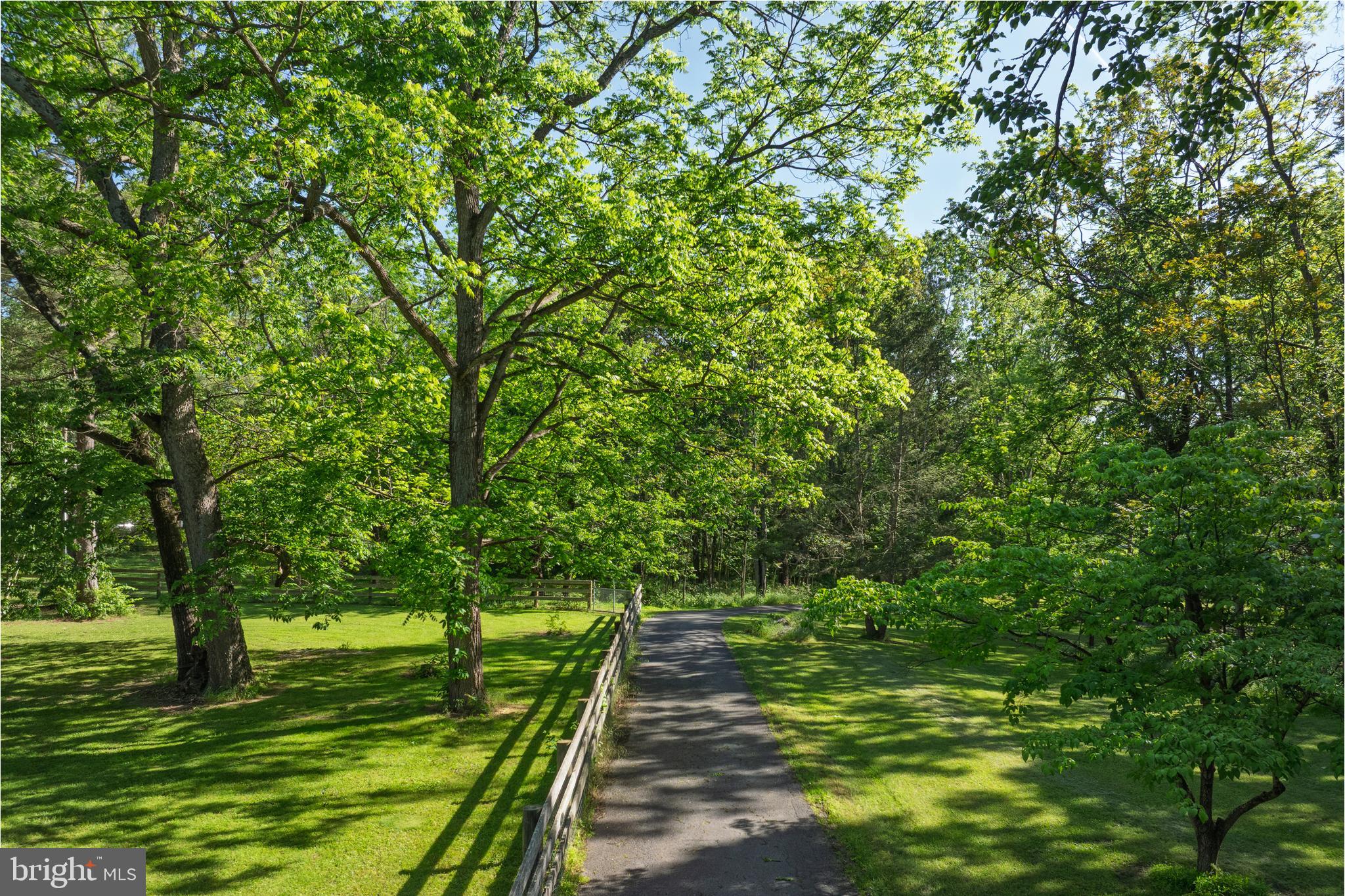 2436 Warm Springs Road Shenandoah Junction, WV 25442 - Photo 105 of 123 Driveway