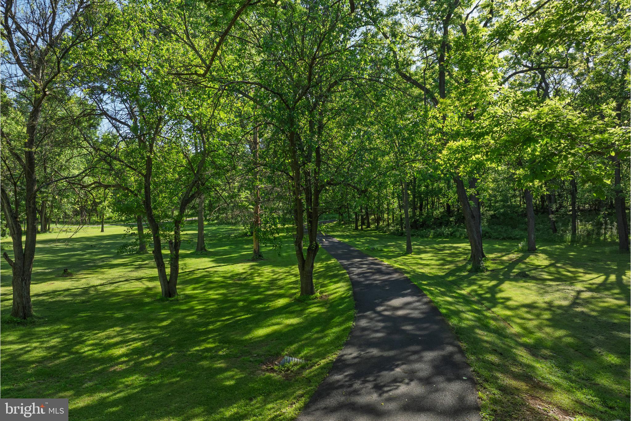 2436 Warm Springs Road Shenandoah Junction, WV 25442 - Photo 109 of 123 Driveway