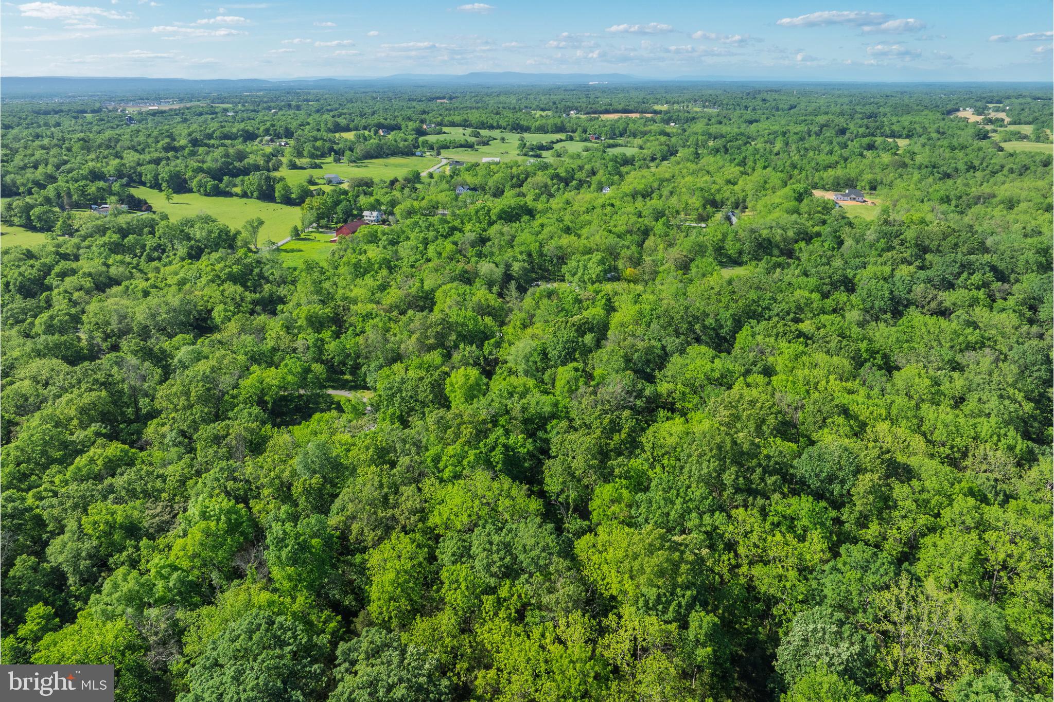 2436 Warm Springs Road Shenandoah Junction, WV 25442 - Photo 119 of 123