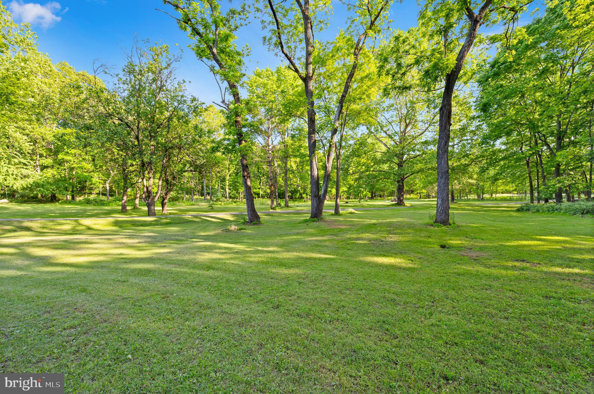 2436 Warm Springs Road Shenandoah Junction, WV 25442 - Photo 6 of 123 Park like setting