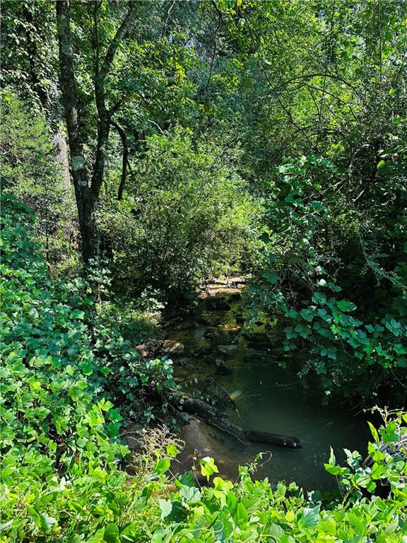 368 Dixon Road Demorest, GA 30535 - Photo 11 of 67