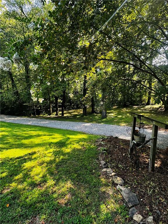 368 Dixon Road Demorest, GA 30535 - Photo 19 of 67 a view of yard with swimming pool and green space