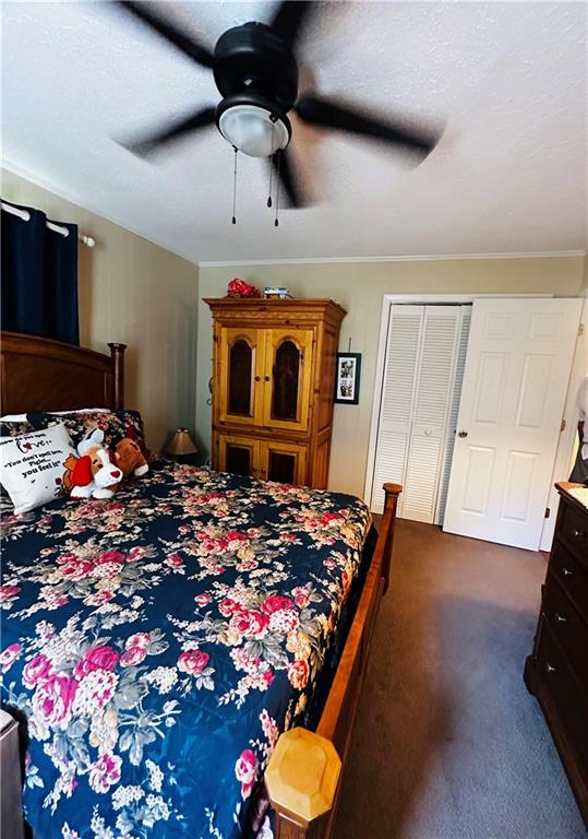 368 Dixon Road Demorest, GA 30535 - Photo 49 of 67 a very nice looking room with a large window