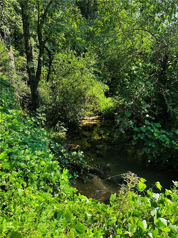 368 Dixon Road Demorest, GA 30535 - Photo 10 of 67