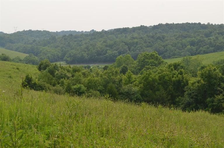 3162 Deep Creek Road Perryville, KY 40468 - Photo 16 of 21 Photo 16