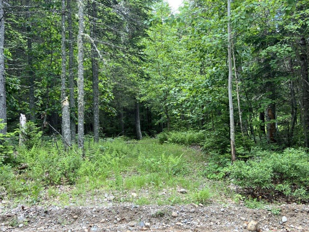 78 Castlewood Road Newcastle, ME 04553 - Photo 12 of 12 5