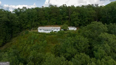 a view of a yard with large trees
