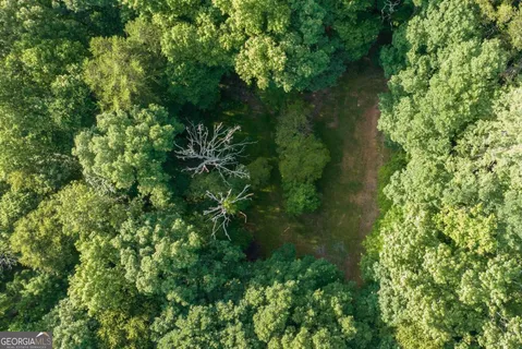 a view of a big yard with a trees