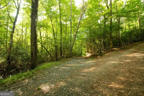 a view of backyard of house