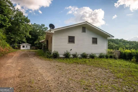a view of a forest that has a tree
