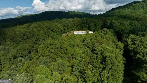 a view of a lush green forest with lots of trees