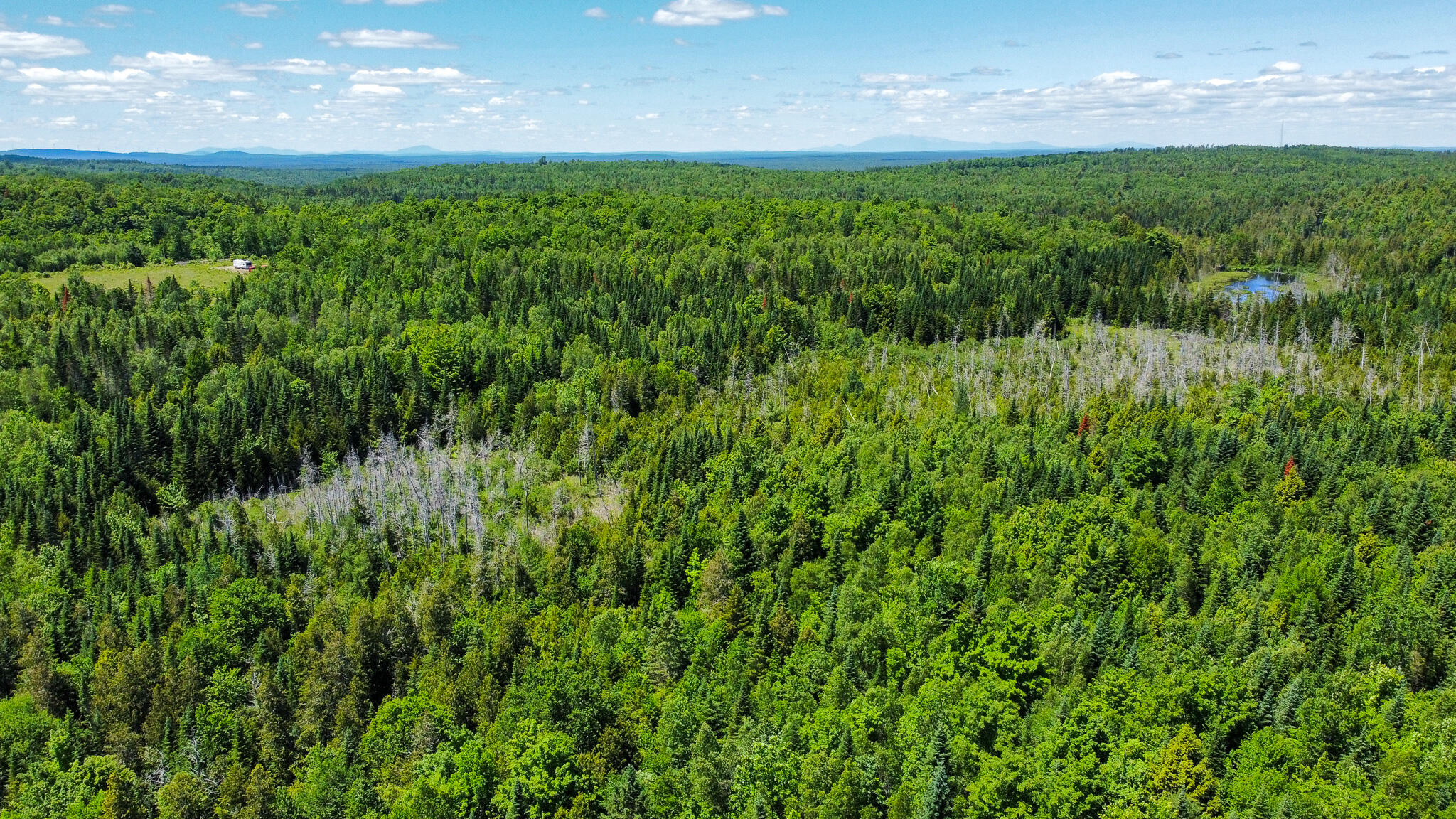 B B Lookout Lane Springfield, ME 04487 - Photo 5 of 33