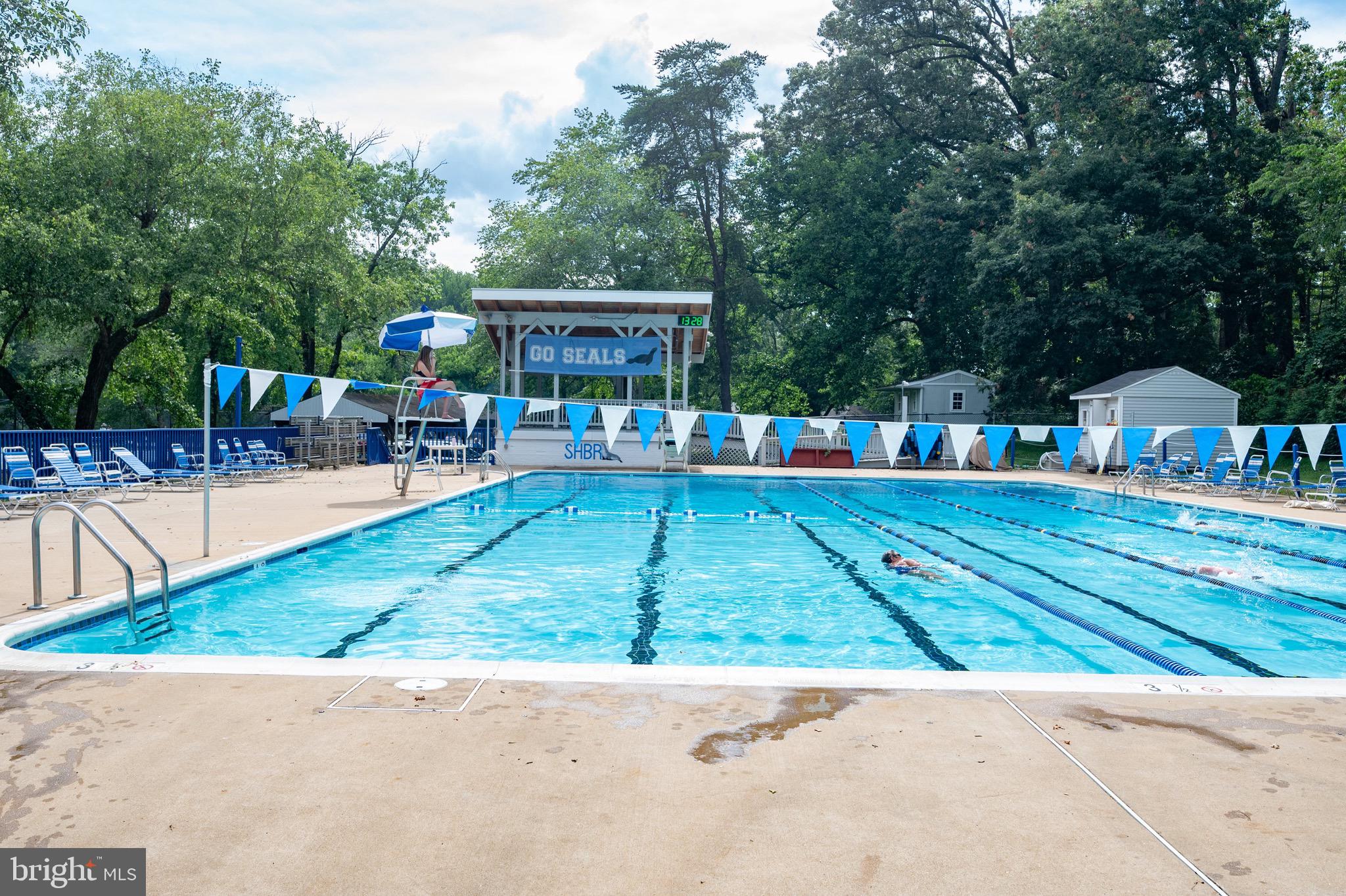 6431 Sleepy Ridge Road Falls Church, VA 22042 - Photo 60 of 63 Community Pool