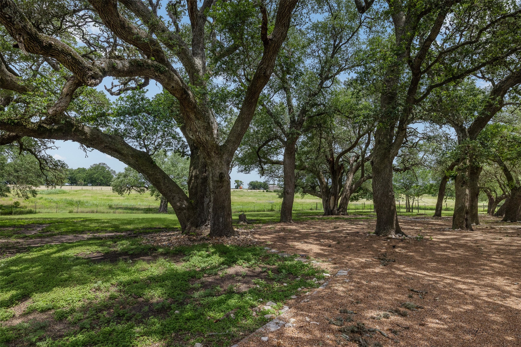 5030 Frenzel Road Round Top, TX 78954 - Photo 6 of 47