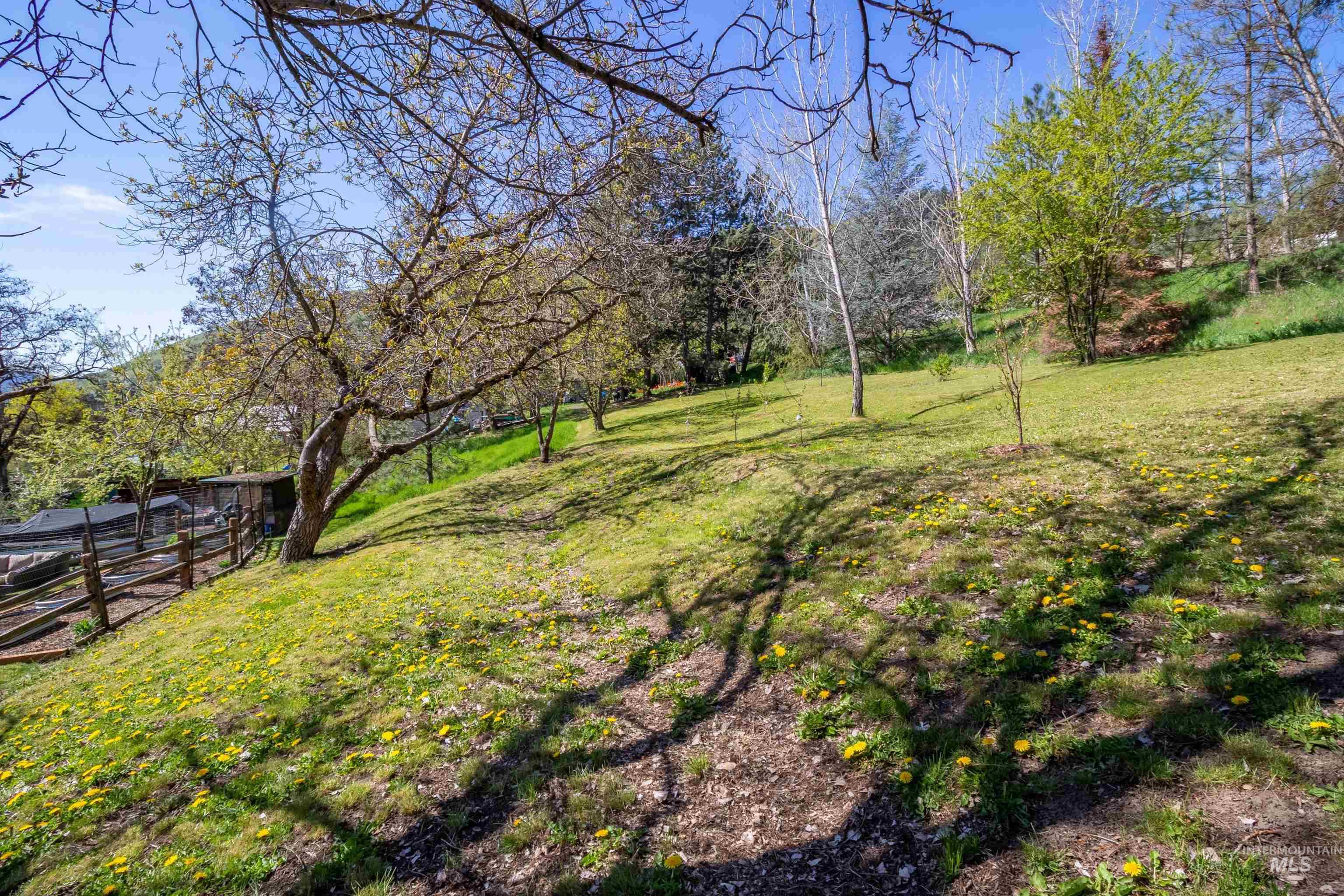 305 3rd Street Juliaetta, ID 83535 - Photo 43 of 50