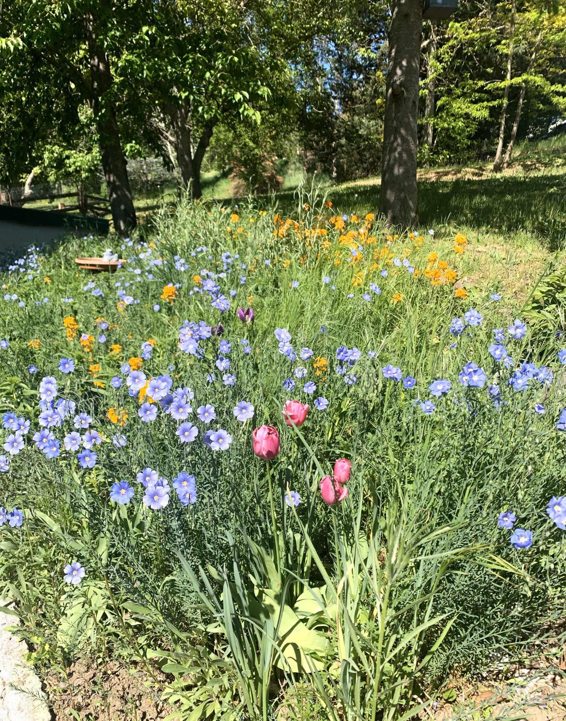305 3rd Street Juliaetta, ID 83535 - Photo 46 of 50