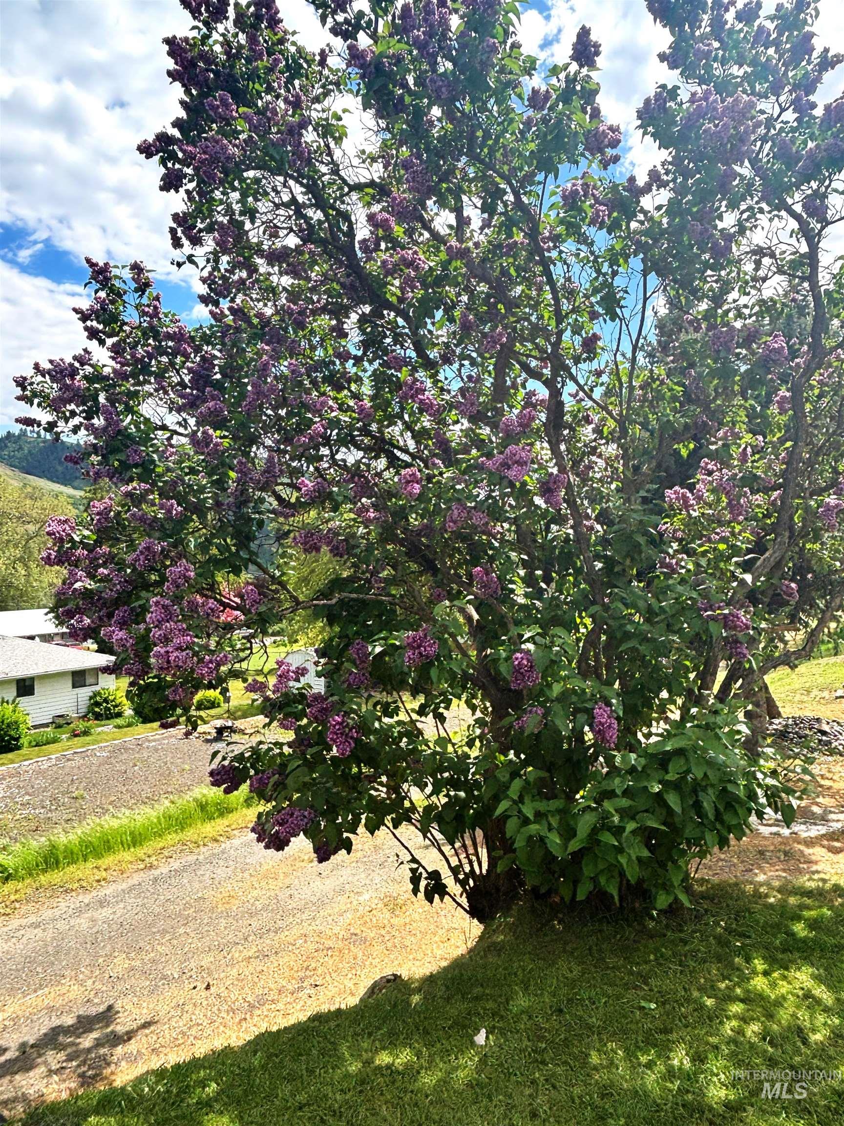305 3rd Street Juliaetta, ID 83535 - Photo 48 of 50