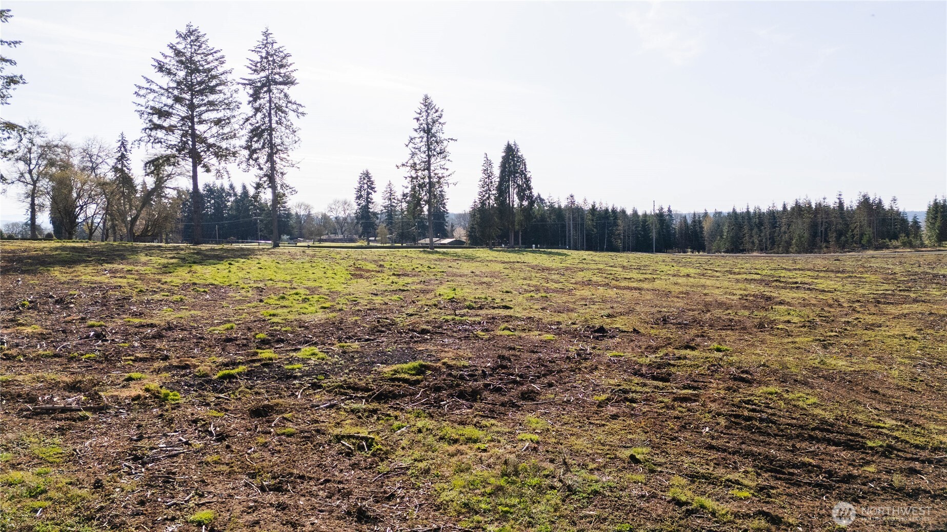 114 Beckett Lane Chehalis, WA 98532 - Photo 22 of 26 a view of a field with an trees in the background
