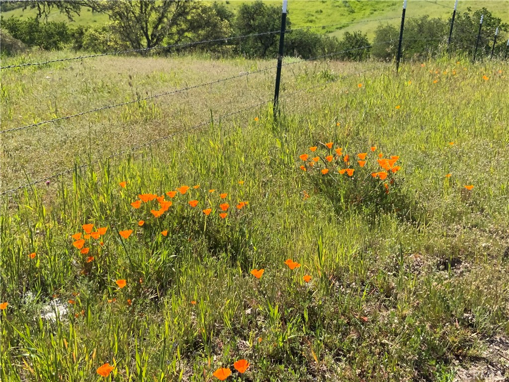 77599 Lowes Canyon Road San Miguel, CA 93451 - Photo 12 of 66