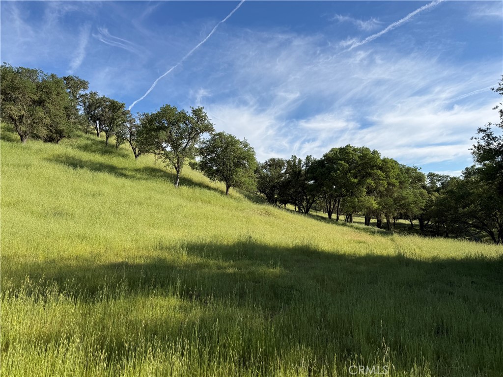 77599 Lowes Canyon Road San Miguel, CA 93451 - Photo 16 of 66 a view of a lake with a yard