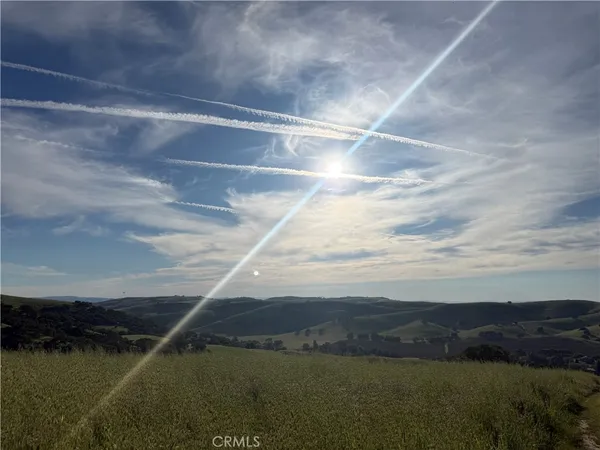 a view of outdoor space with trees