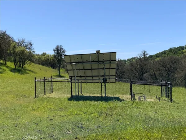 a view of a yard with large tree