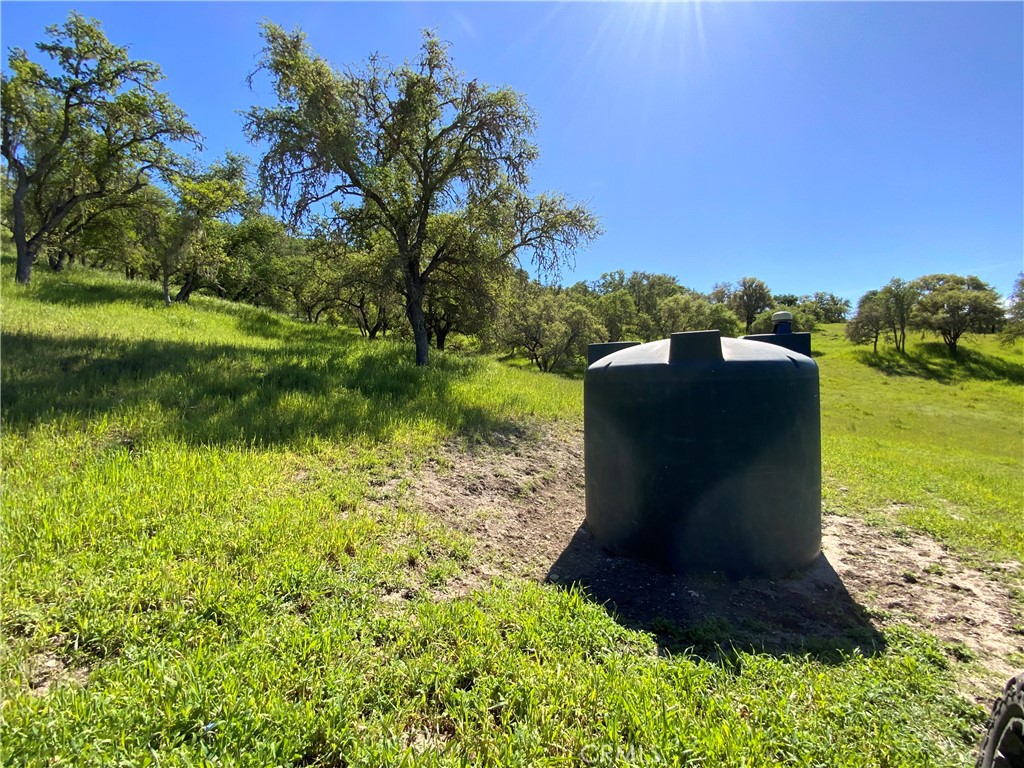 77599 Lowes Canyon Road San Miguel, CA 93451 - Photo 22 of 66 a view of a garden