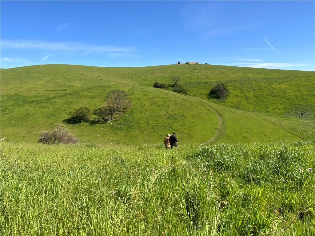 77599 Lowes Canyon Road San Miguel, CA 93451 - Photo 3 of 66 a view of an ocean from a yard