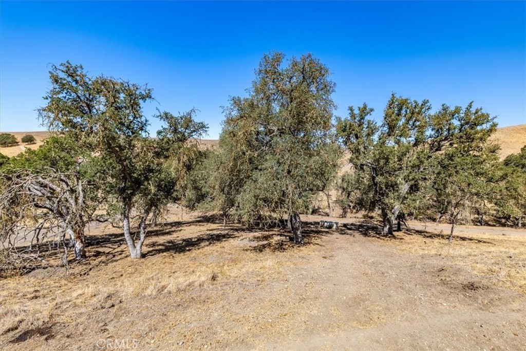 77599 Lowes Canyon Road San Miguel, CA 93451 - Photo 31 of 66 a view of outdoor space with trees