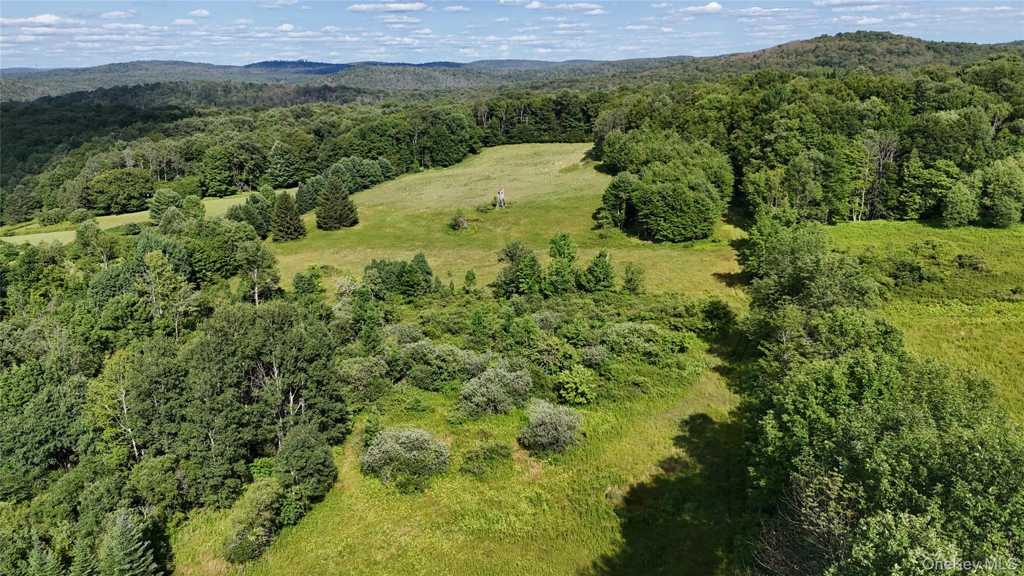 Bert Medlar Road Hancock, NY 13783 - Photo 16 of 17