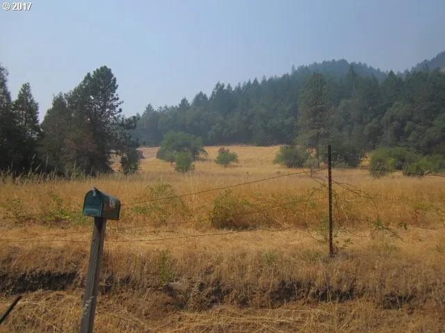 a view of a park with large trees