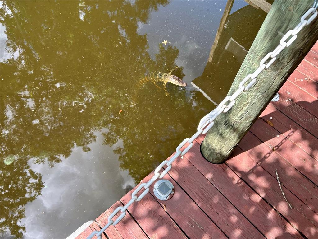 25646 Bass Road Astor, FL 32102 - Photo 11 of 48 a view of a lake from a balcony