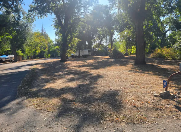a view of a yard with a tree