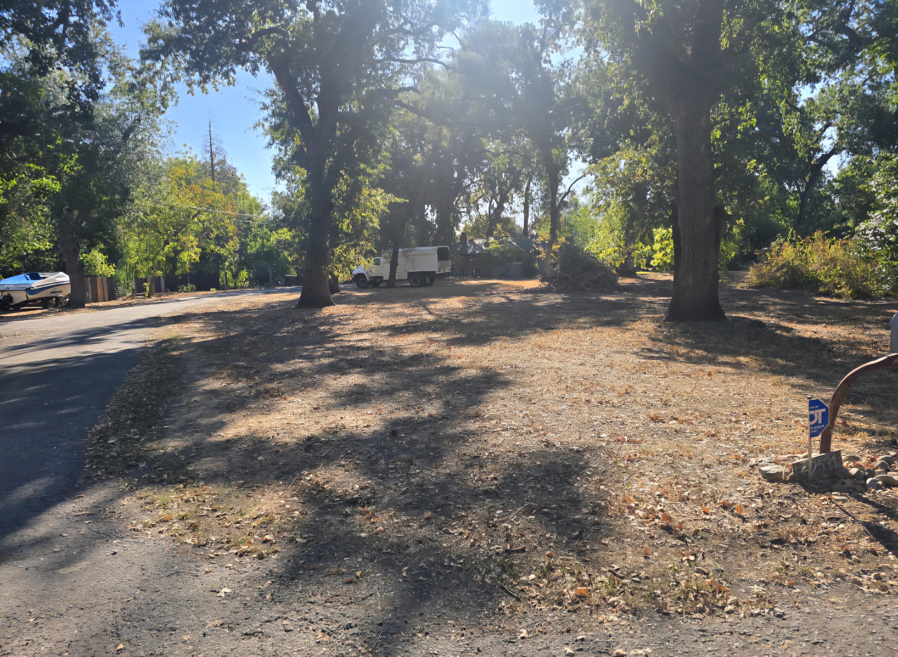 a view of a yard with a tree