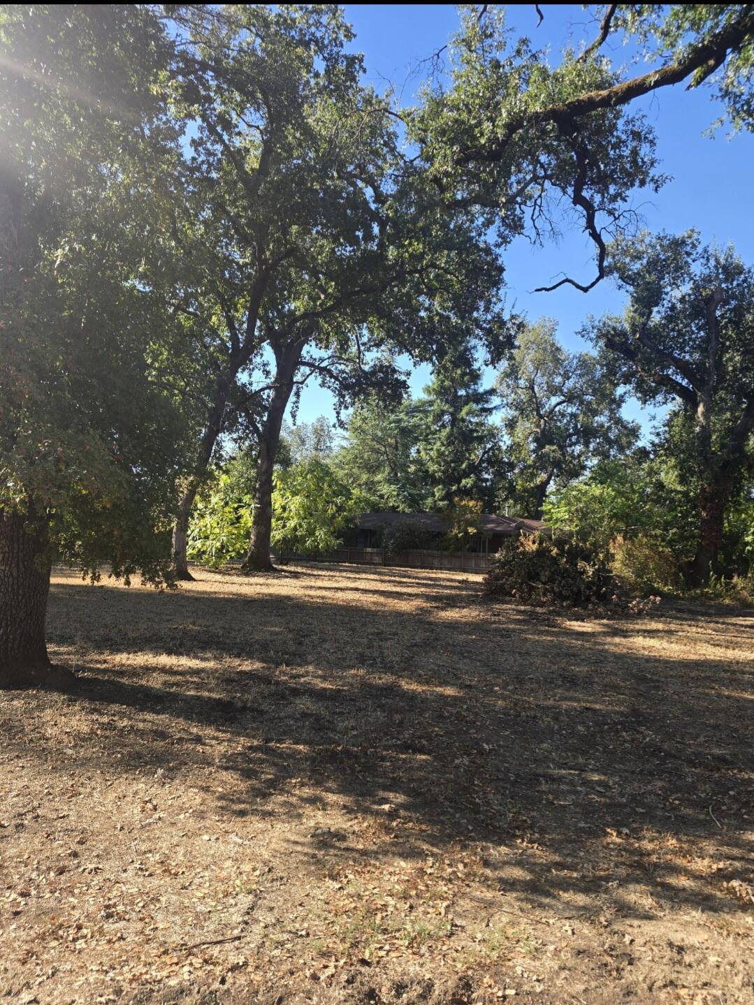Waverly Redding, CA 96001 - Photo 2 of 5 a backyard of a house