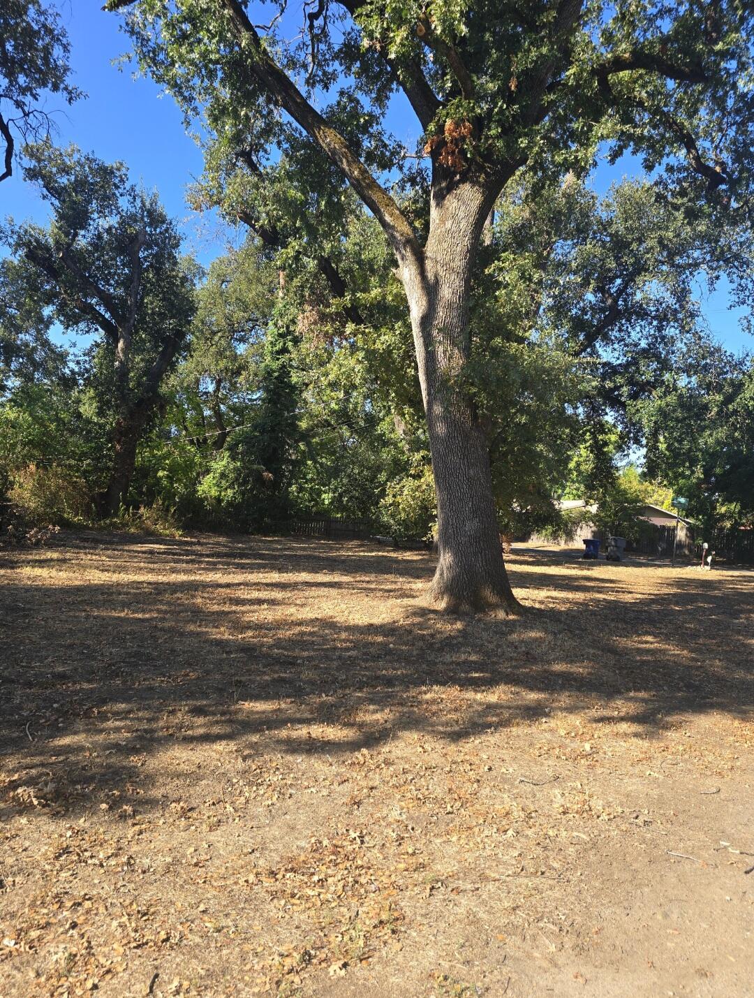 Waverly Redding, CA 96001 - Photo 3 of 5 a view of road with large trees