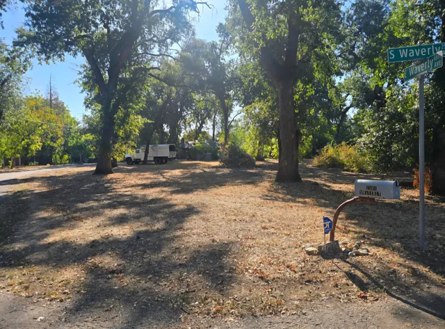 a view of a tree in the middle of a yard